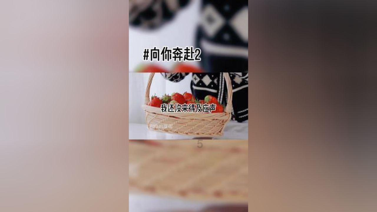 超能动物联盟