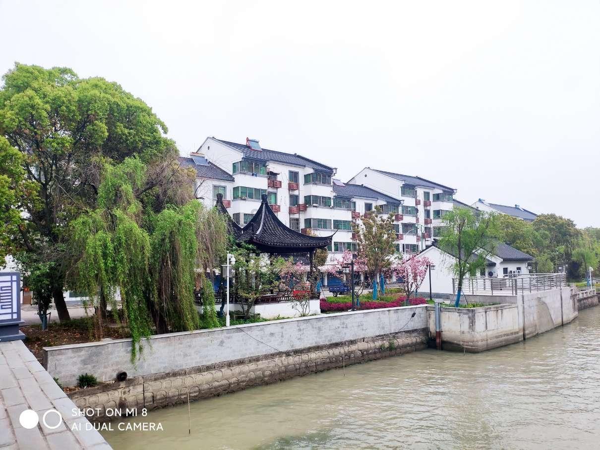 虫虫助手下载